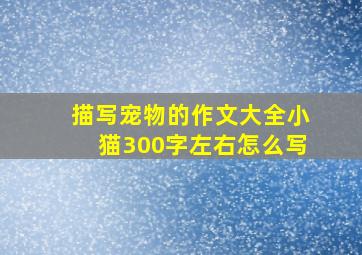 描写宠物的作文大全小猫300字左右怎么写