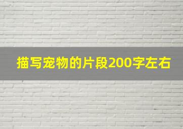 描写宠物的片段200字左右