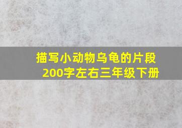 描写小动物乌龟的片段200字左右三年级下册