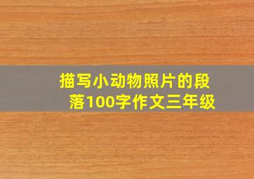 描写小动物照片的段落100字作文三年级