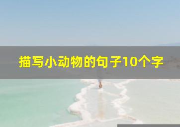 描写小动物的句子10个字