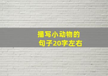 描写小动物的句子20字左右