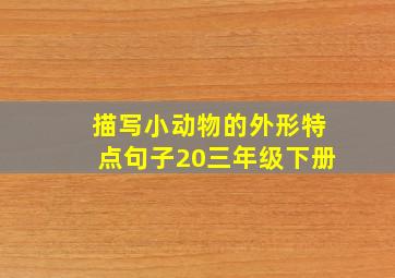 描写小动物的外形特点句子20三年级下册