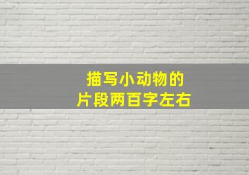 描写小动物的片段两百字左右