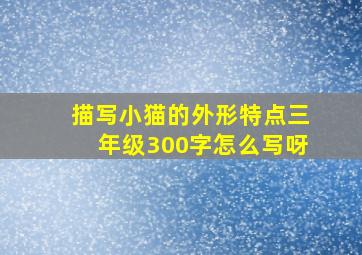 描写小猫的外形特点三年级300字怎么写呀