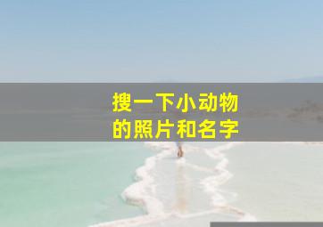 搜一下小动物的照片和名字