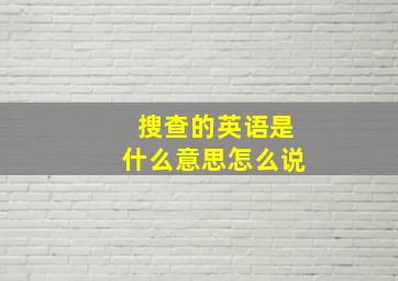 搜查的英语是什么意思怎么说