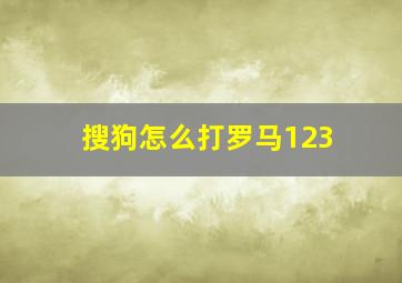 搜狗怎么打罗马123