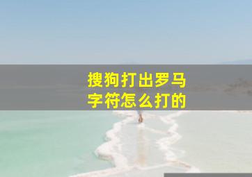 搜狗打出罗马字符怎么打的