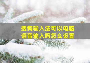 搜狗输入法可以电脑语音输入吗怎么设置