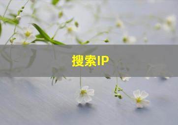 搜索IP