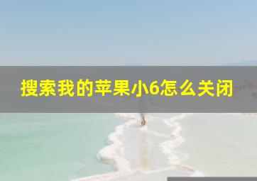 搜索我的苹果小6怎么关闭