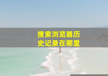 搜索浏览器历史记录在哪里