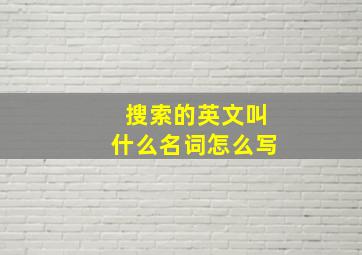 搜索的英文叫什么名词怎么写