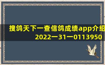 搜鸽天下一查信鸽成绩app介绍2022一31一0113950