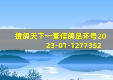 搜鸽天下一查信鸽足环号2023-01-1277352