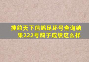 搜鸽天下信鸽足环号查询结果222号鸽子成绩这么样