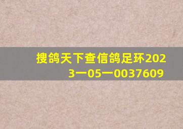 搜鸽天下查信鸽足环2023一05一0037609