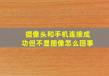 摄像头和手机连接成功但不显图像怎么回事