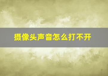 摄像头声音怎么打不开