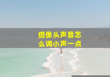 摄像头声音怎么调小声一点