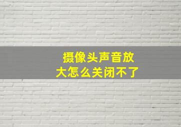 摄像头声音放大怎么关闭不了