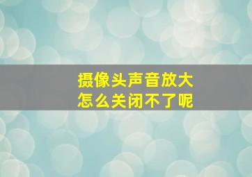 摄像头声音放大怎么关闭不了呢