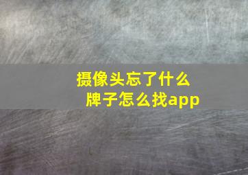 摄像头忘了什么牌子怎么找app