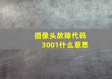 摄像头故障代码3001什么意思