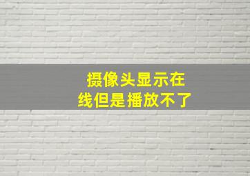 摄像头显示在线但是播放不了