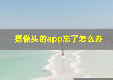 摄像头的app忘了怎么办