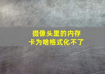 摄像头里的内存卡为啥格式化不了