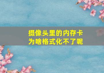 摄像头里的内存卡为啥格式化不了呢