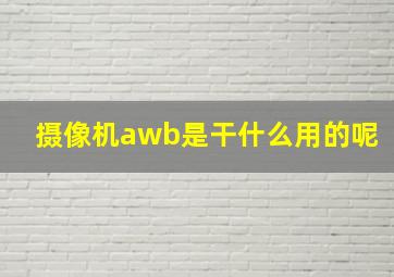 摄像机awb是干什么用的呢