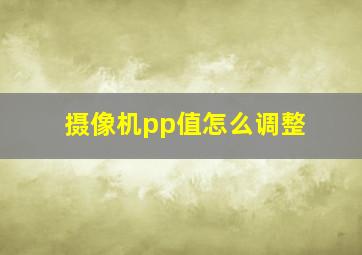 摄像机pp值怎么调整