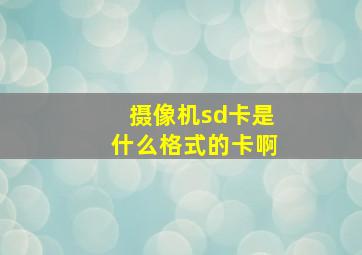 摄像机sd卡是什么格式的卡啊