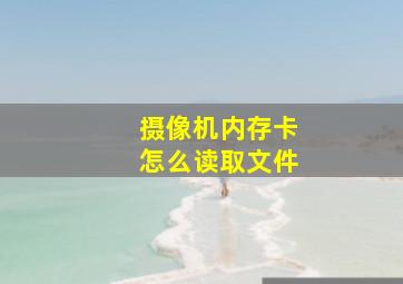 摄像机内存卡怎么读取文件