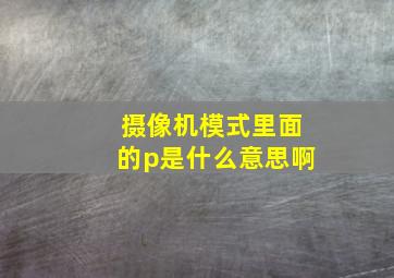 摄像机模式里面的p是什么意思啊