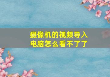 摄像机的视频导入电脑怎么看不了了