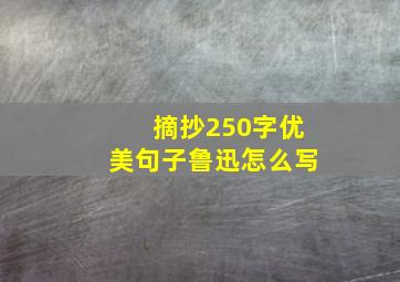 摘抄250字优美句子鲁迅怎么写