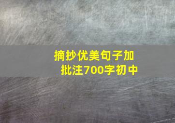 摘抄优美句子加批注700字初中