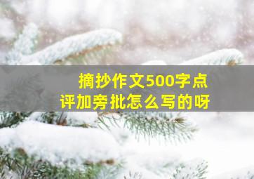 摘抄作文500字点评加旁批怎么写的呀