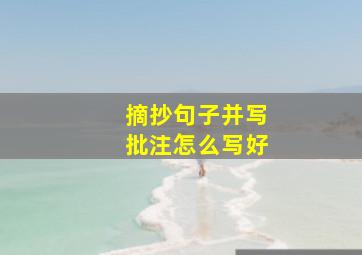 摘抄句子并写批注怎么写好