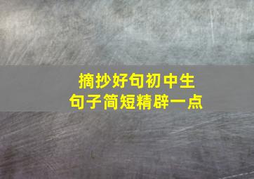 摘抄好句初中生句子简短精辟一点