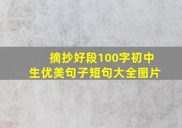 摘抄好段100字初中生优美句子短句大全图片