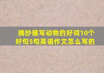 摘抄描写动物的好词10个好句5句英语作文怎么写的