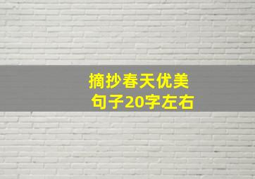 摘抄春天优美句子20字左右