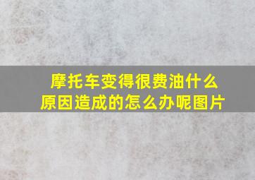 摩托车变得很费油什么原因造成的怎么办呢图片