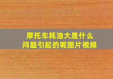 摩托车耗油大是什么问题引起的呢图片视频