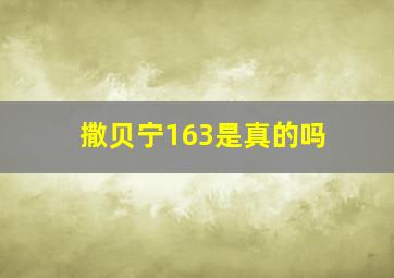 撒贝宁163是真的吗